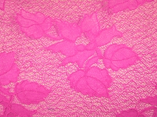 Aeriel Stretch Lace - Electric Pink