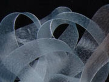 Clear Elastic 10mm - Clear