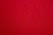  Iris Embroidered Stretch Lace(Design 86) - Flamenco Red