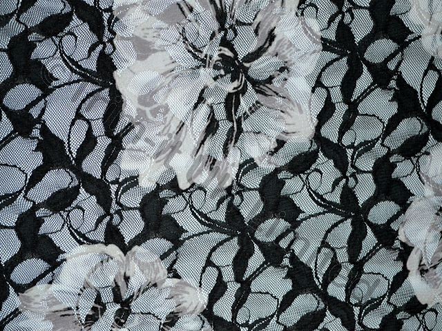 Coral Rose Stretch Lace SPECIAL OFFER WAS 45 - Black/White