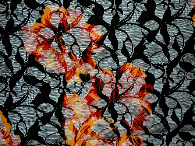 Coral Rose Stretch Lace SPECIAL OFFER WAS 45 - Mango/Black