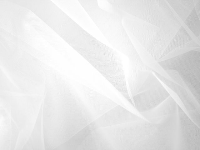 Fine Stiff Net - White