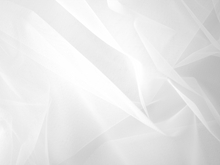 Fine Stiff Net - White