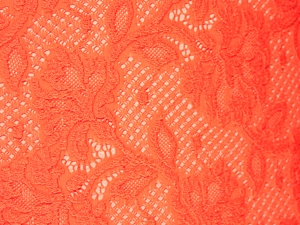 Jasmine Stretch Lace