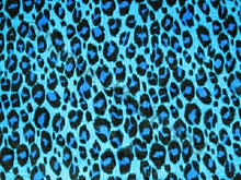 Leo Smooth Stretch Velvet - Turquoise/Electric Blue/Black