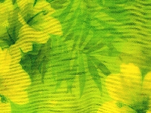 Lilly Lycra - Flo. Apple/Tropic Lime