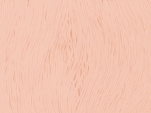 Stretch Top Rayon (Tactel) Fringe 30cm - Champagne