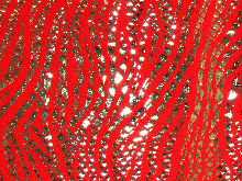 Metallic Silver Flame On Lycra - Neon Red