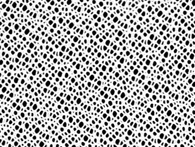 Stretch Metallic Web Fishnet (3mm/6mm) - White/Metallic Silver