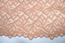 Sofia (Bordered) Stretch Lace - Champagne