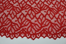 Sofia (Bordered) Stretch Lace - Flamenco Red
