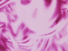 Strobe Lycra  SALE WAS 21 - Pale Pink/Fuchsia Pink