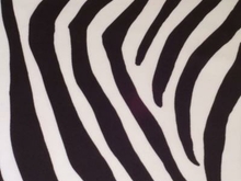 Zebra Lycra - Black/White