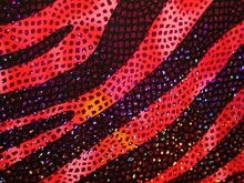 Zebra/Psycho Hologram Lycra - Flo. Orange/Neon Candy/Valentino/Black