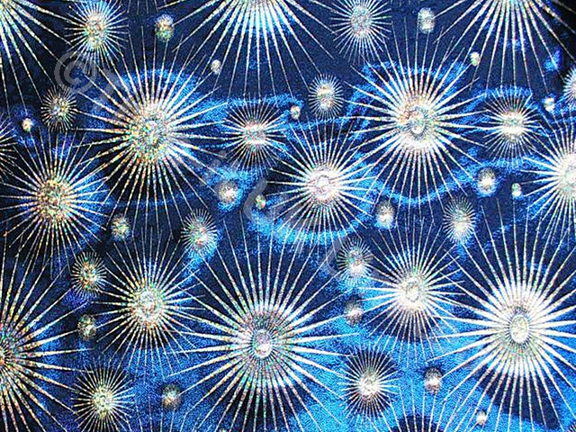 Zodiac Shine Lycra - Lt.Navy/Met.Royal/Silver Holo.